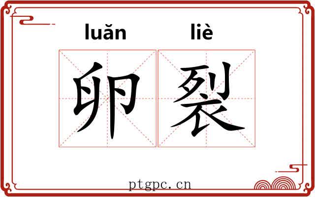 卵裂