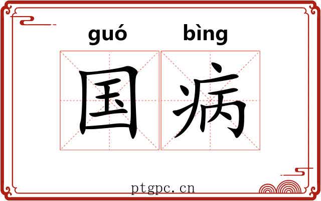 国病