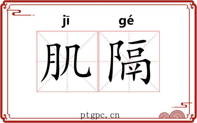 肌隔