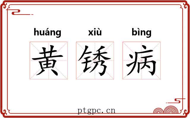 黄锈病 黄锈病