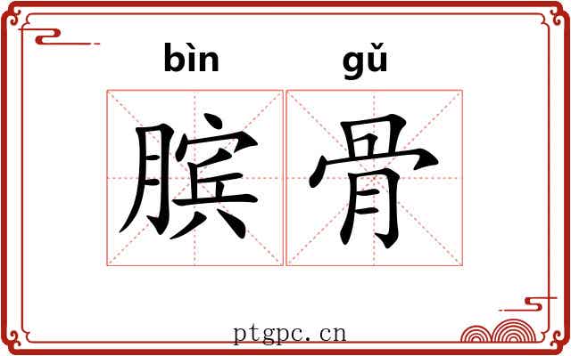 膑骨 膑骨