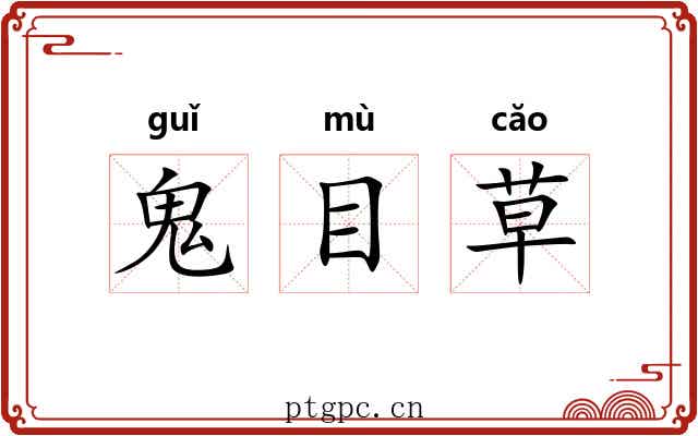 鬼目草