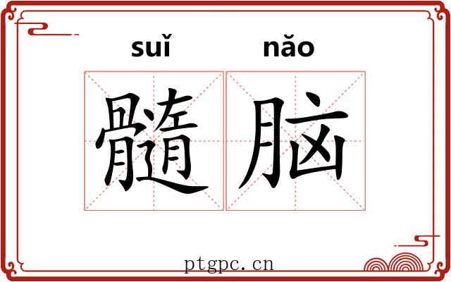 髓脑
