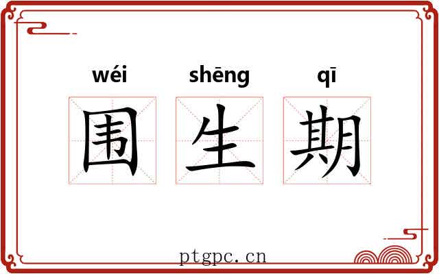 围生期 围生期