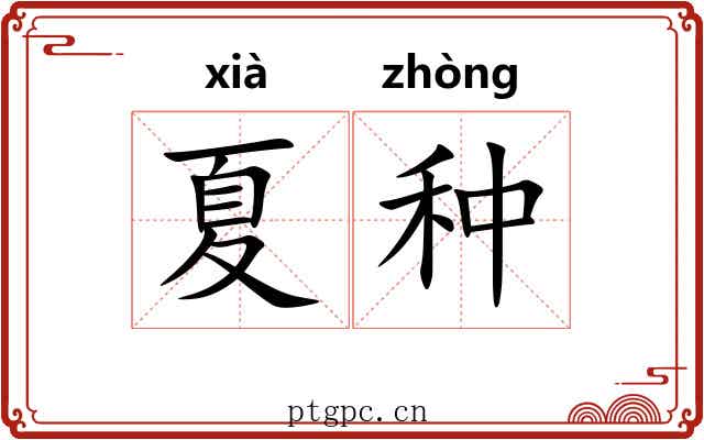 夏种 夏种