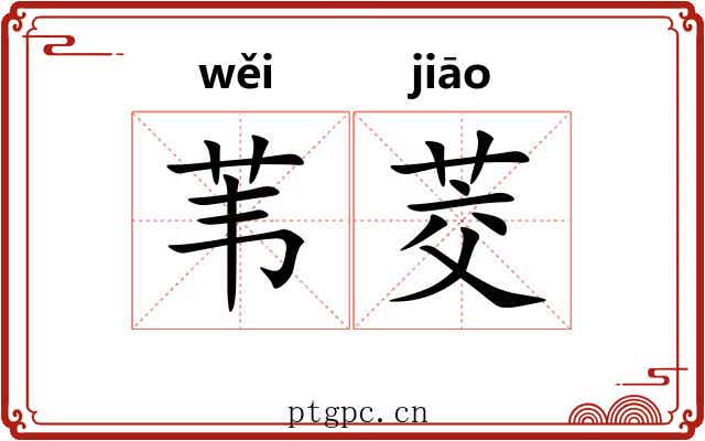 苇茭