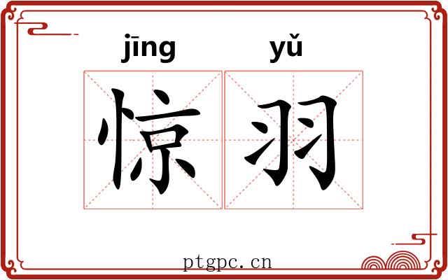 惊羽 惊羽