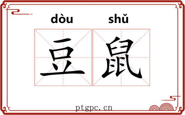 豆鼠 豆鼠