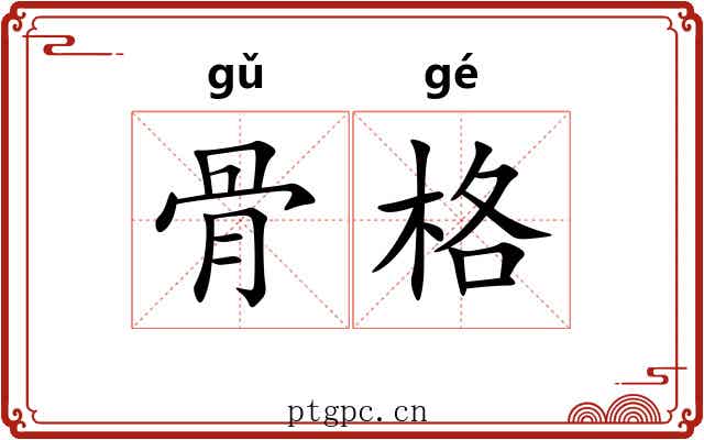 骨格