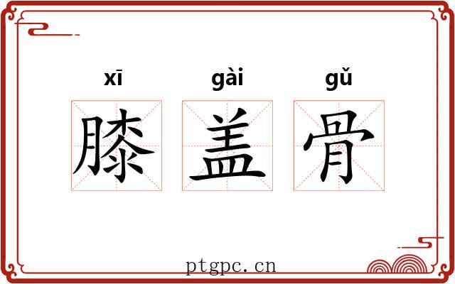 膝盖骨