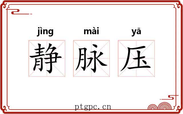 静脉压 静脉压