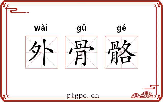 外骨骼 外骨骼