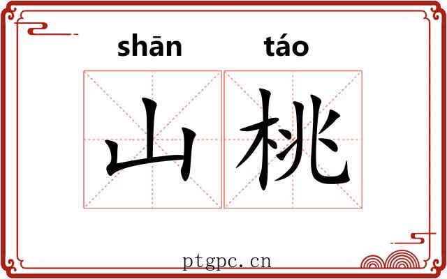 山桃 山桃