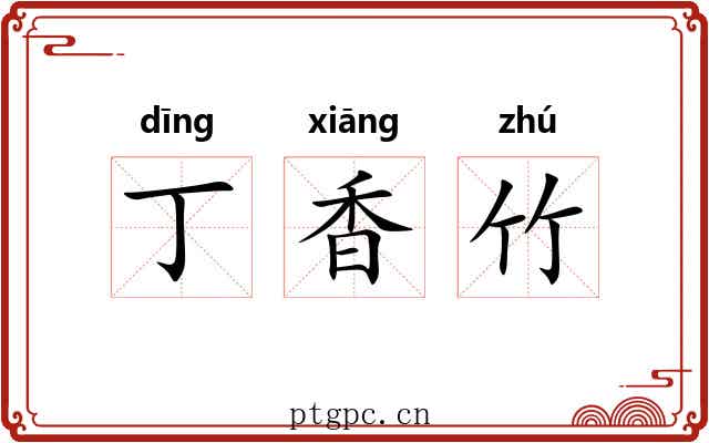 丁香竹 丁香竹