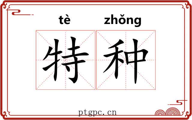 特种