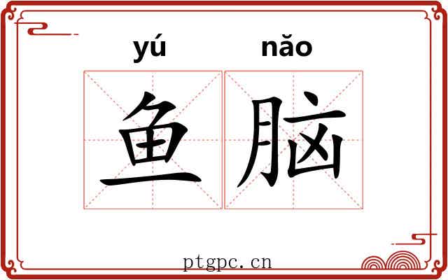 鱼脑