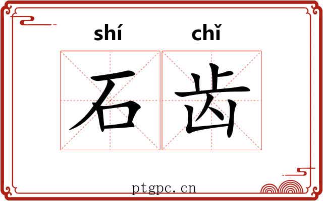 石齿 石齿