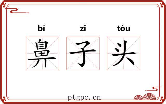 鼻子头