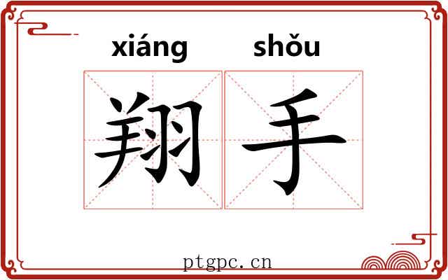 翔手