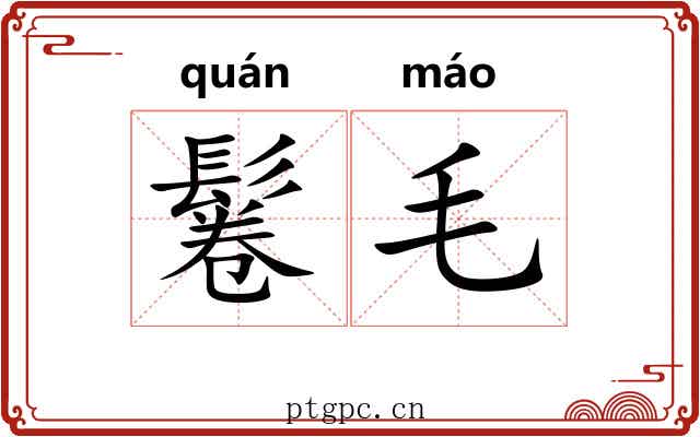 鬈毛