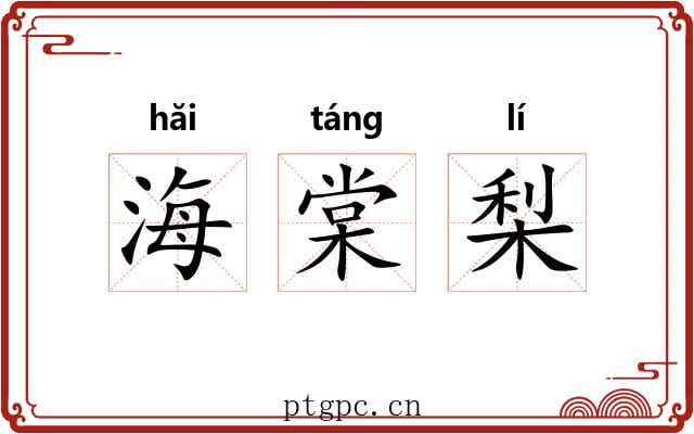 海棠梨 海棠梨