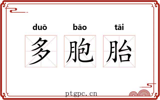 多胞胎 多胞胎
