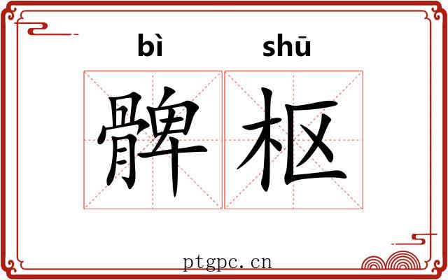 髀枢