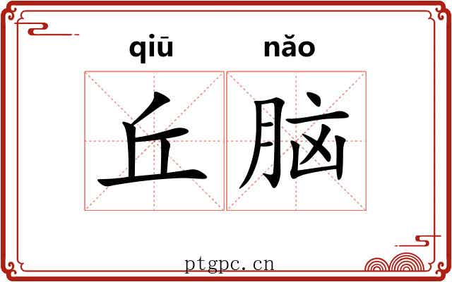 丘脑 丘脑