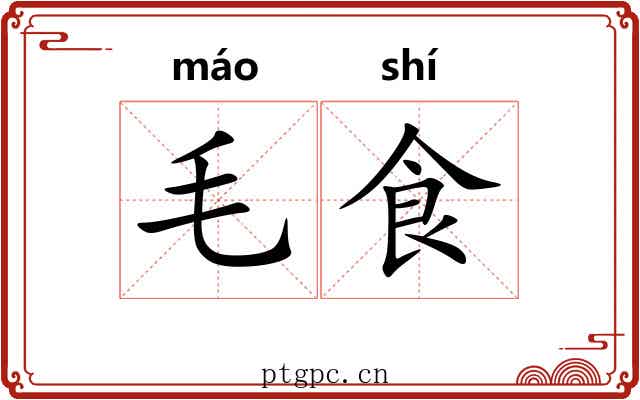 毛食 毛食