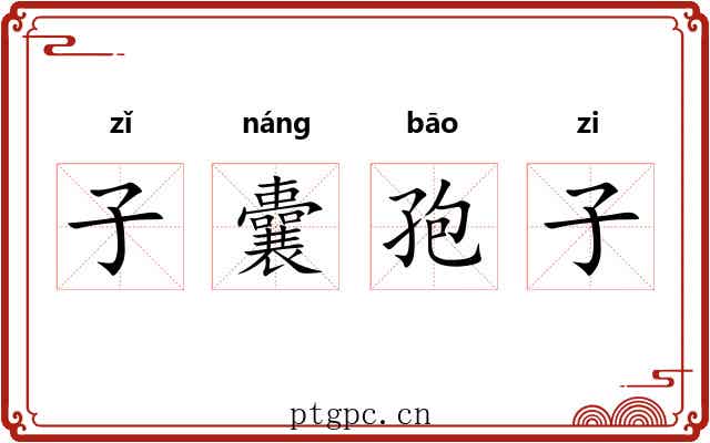 子囊孢子 子囊孢子
