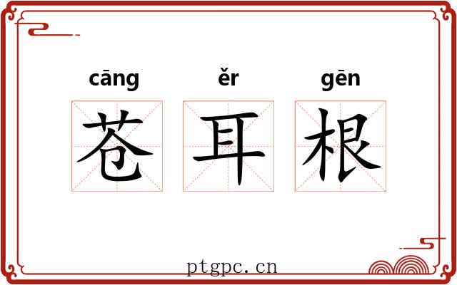 苍耳根 苍耳根