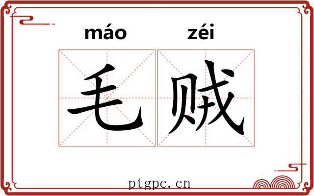 毛贼 毛贼