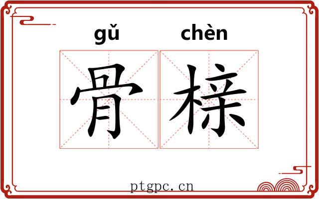 骨榇 骨榇