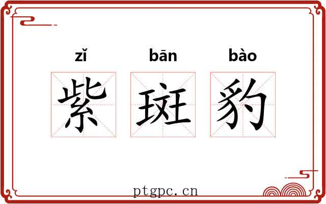 紫斑豹 紫斑豹