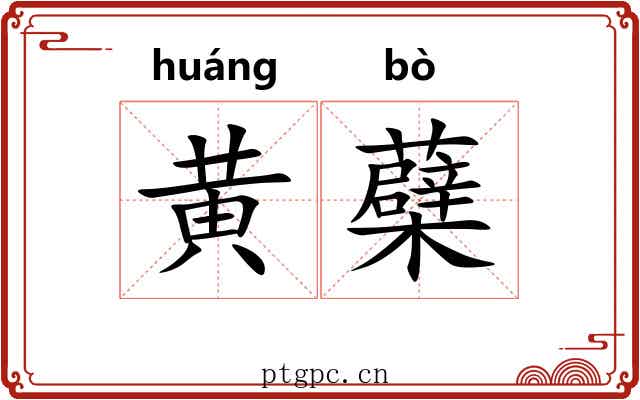 黄蘗