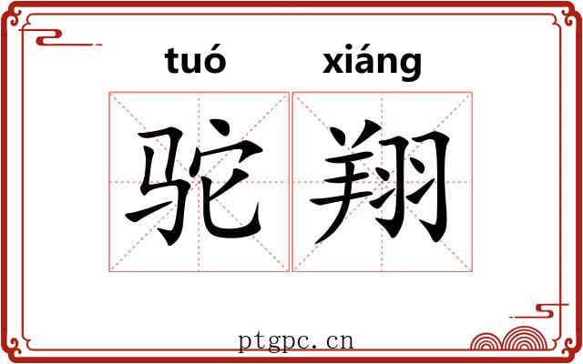 驼翔