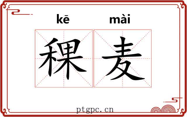 稞麦