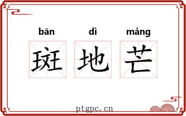 斑地芒