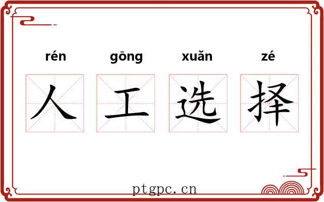 人工选择 人工选择