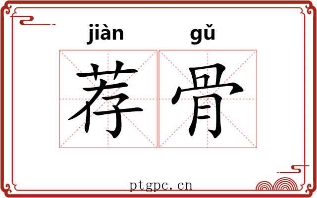 荐骨 荐骨