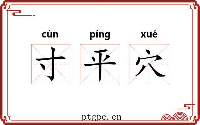 寸平穴 寸平穴