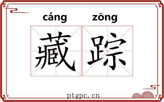 藏踪