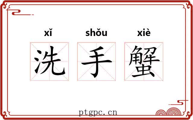 洗手蟹 洗手蟹