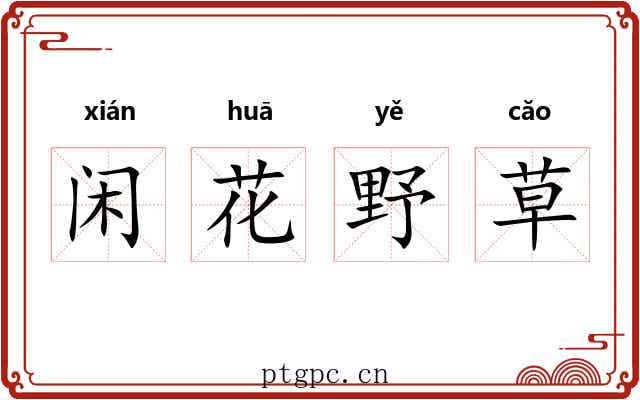 闲花野草 闲花野草