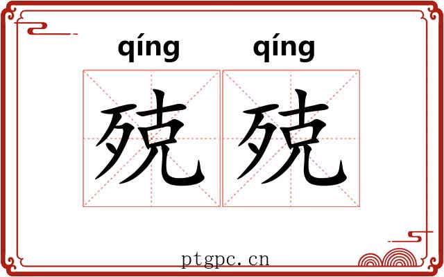 殑殑