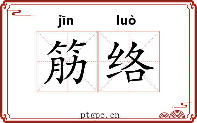 筋络 筋络