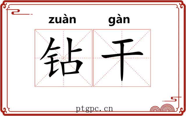 钻干 钻干