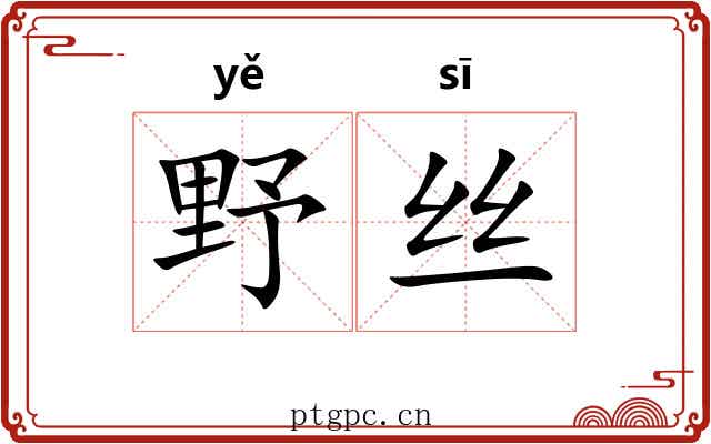 野丝 野丝