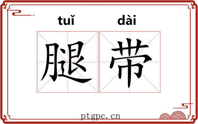 腿带 腿带