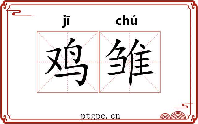 鸡雏